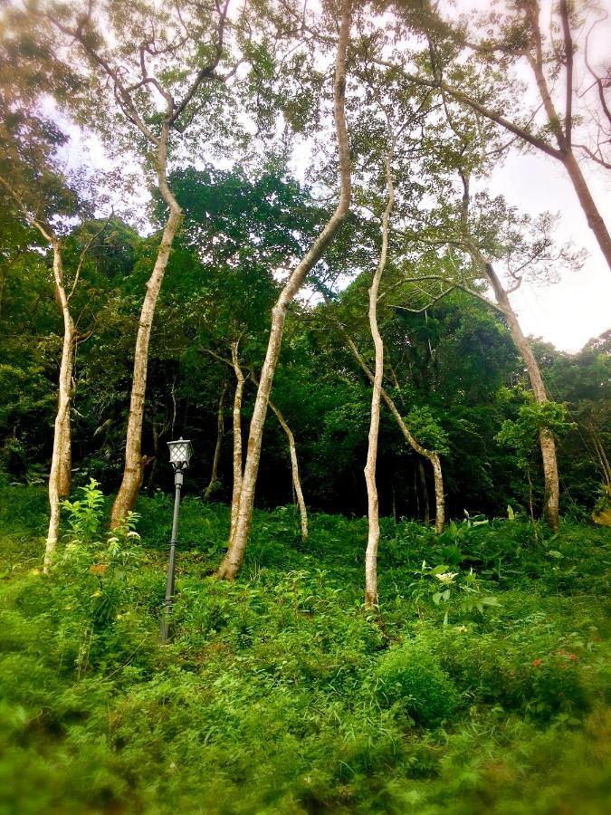 Wan Ruey Resort Hengshan Extérieur photo
