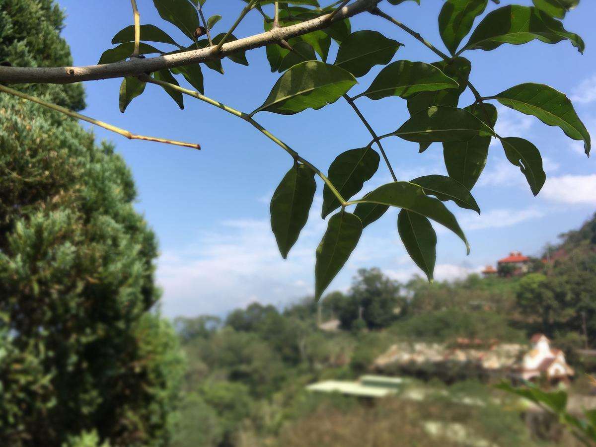 Wan Ruey Resort Hengshan Extérieur photo